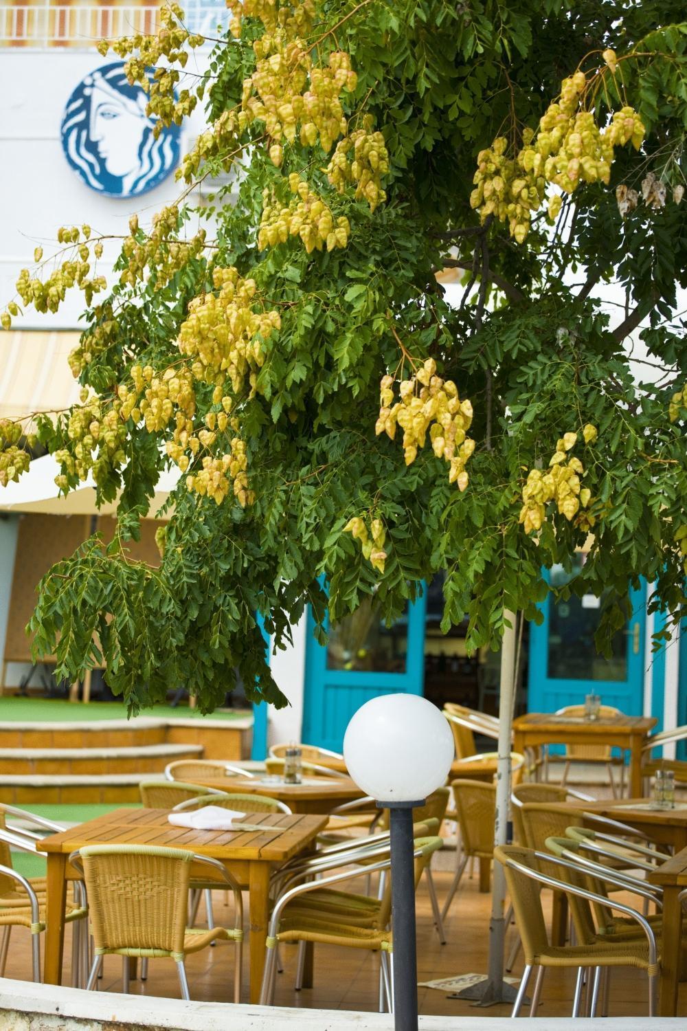 Kaliopa Hotel Albena Exterior photo